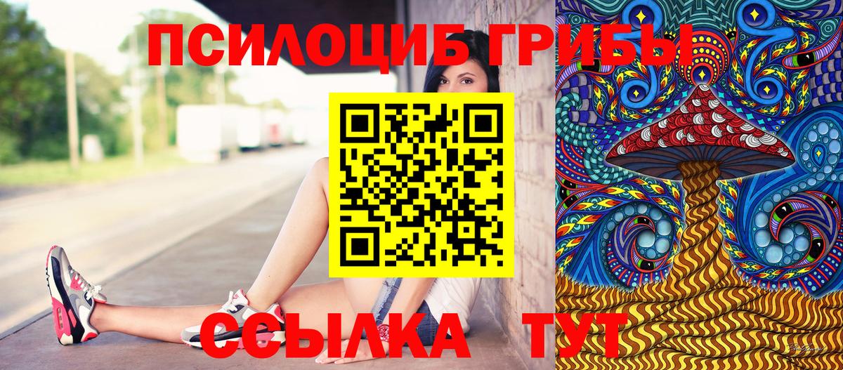Галлюциногенные грибы Psilocybine cubensis Бутурлиновка