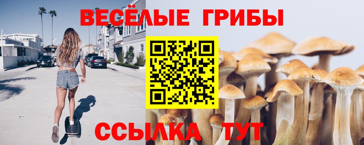 Бутурлиновка  Псилоцибиновые грибы прущие грибы  купить наркотик  Вход с VPN 